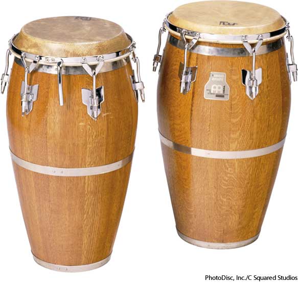 American heritage dictionary entry conga drum