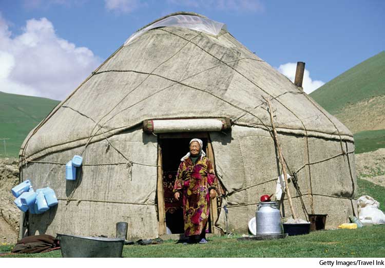 American Heritage Dictionary Entry yurt